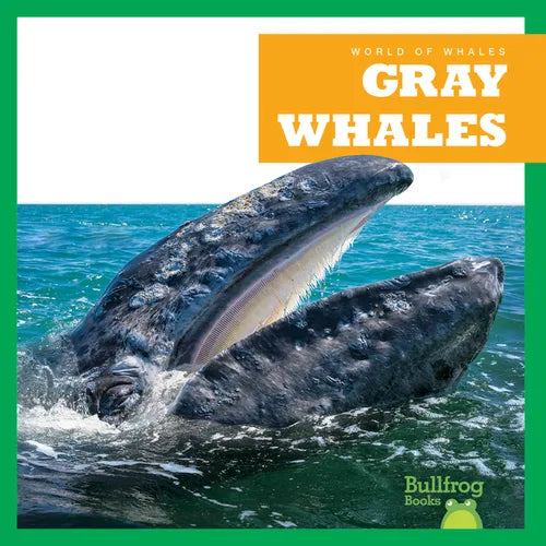 Gray Whales - Paperback