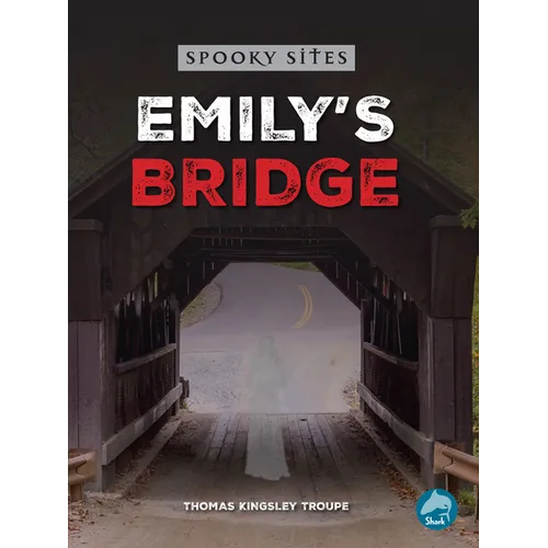 Emily's Bridge - Paperback