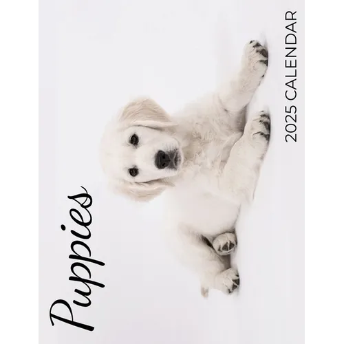 Puppies 2025 Calendar: 2025 Calendar - Paperback
