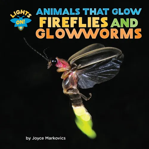 Fireflies and Glowworms - Library Binding