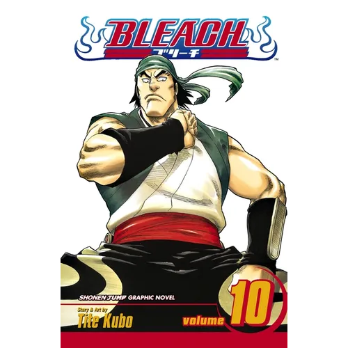 Bleach, Vol. 10 - Paperback