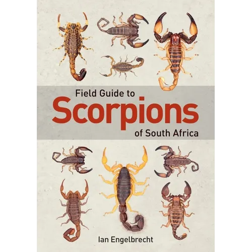 Field Guide to Scorpions of South Africa - Paperback