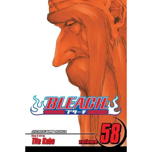 Bleach, Vol. 58 - Paperback