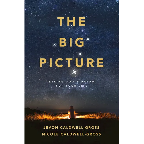 The Big Picture: Seeing God's Dream for Your Life - Paperback