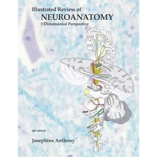 Illustrated Review of Neuroanatomy: 3 Dimensional Perspective - Paperback