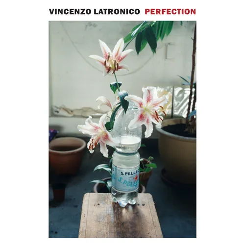 Perfection - Paperback