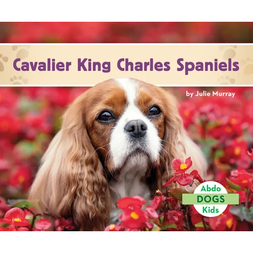 Cavalier King Charles Spaniels - Library Binding