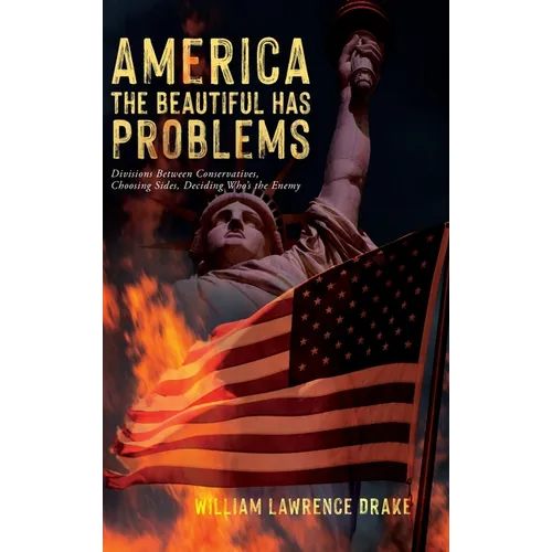 America The Beautiful Has Problems: Divisions between conservatives, choosing sides, deciding who's the enemy - Hardcover