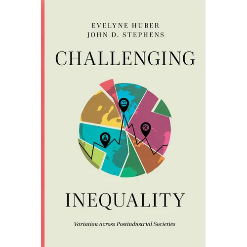 Challenging Inequality: Variation Across Postindustrial Societies - Paperback