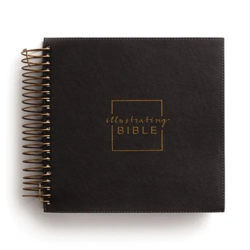 Illustrating Bible NIV Dark Grey - Spiral