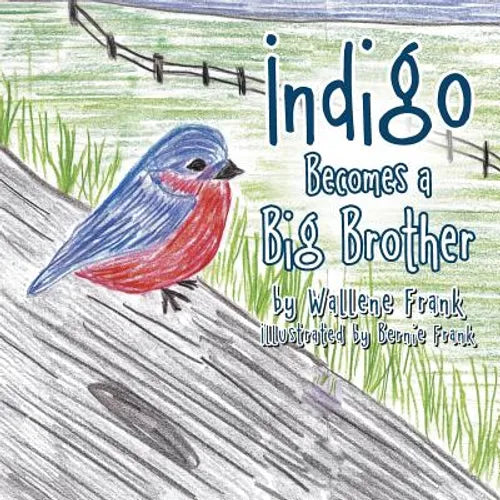 Indigo Becomes a Big Brother - Paperback