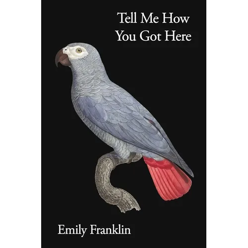 Tell Me How You Got Here - Paperback