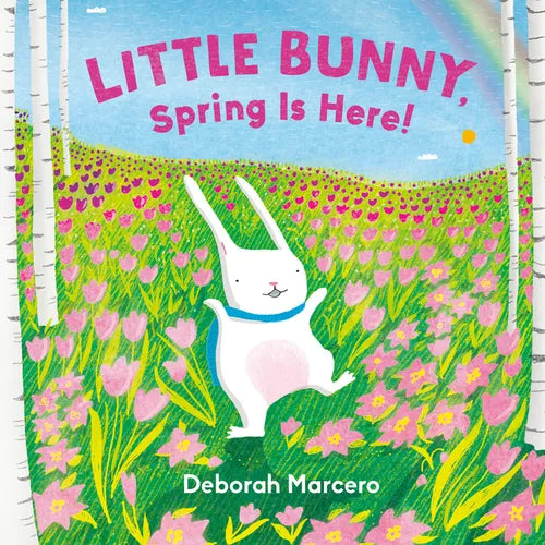 Little Bunny, Spring Is Here! - Board Book