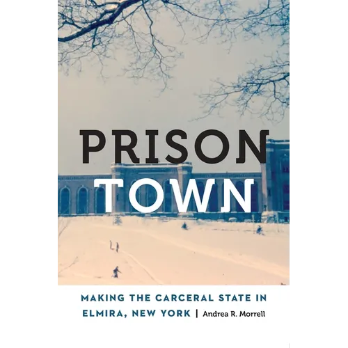 Prison Town: Making the Carceral State in Elmira, New York - Paperback
