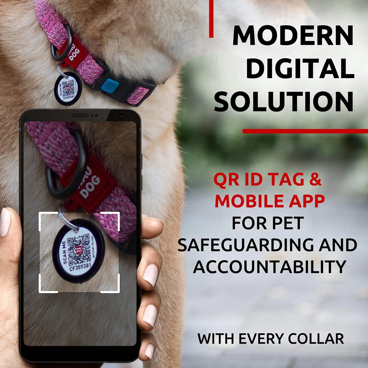 Reflective Cotton Dog Collar Eco Friendly Alt to Nylon Collar 10 16 in Neck x