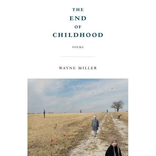 The End of Childhood: Poems - Paperback