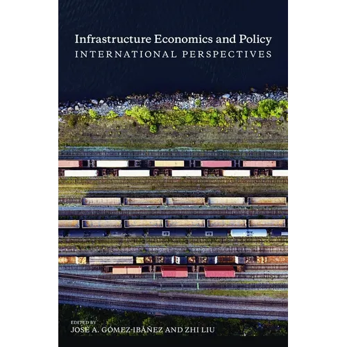 Infrastructure Economics and Policy: International Perspectives - Paperback