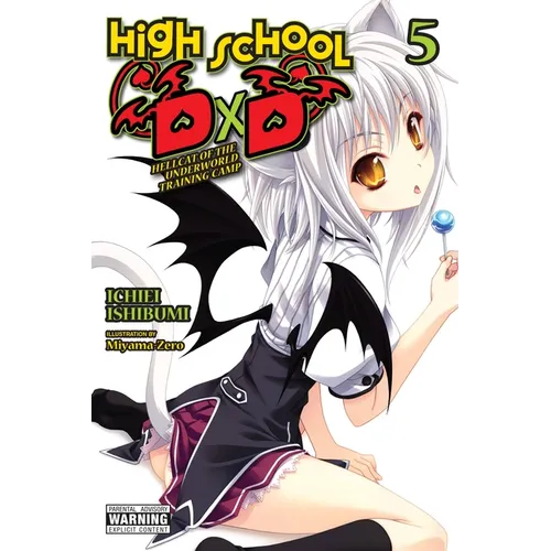 High School DXD, Vol. 5 (Light Novel): Hellcat of the Underworld Training Camp Volume 5 - Paperback