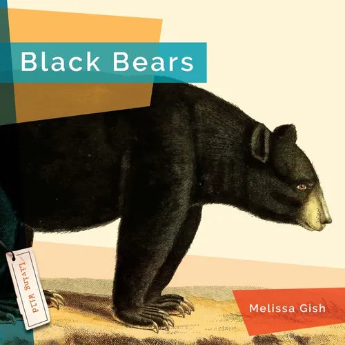 Black Bears - Hardcover