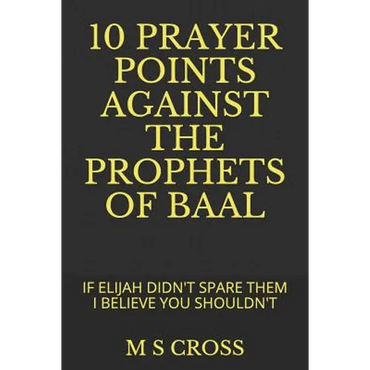 10 Prayer Points Against the Prophets of Baal: If Elijah Didn't Spare Them I Believe You Shouldn't - Paperback