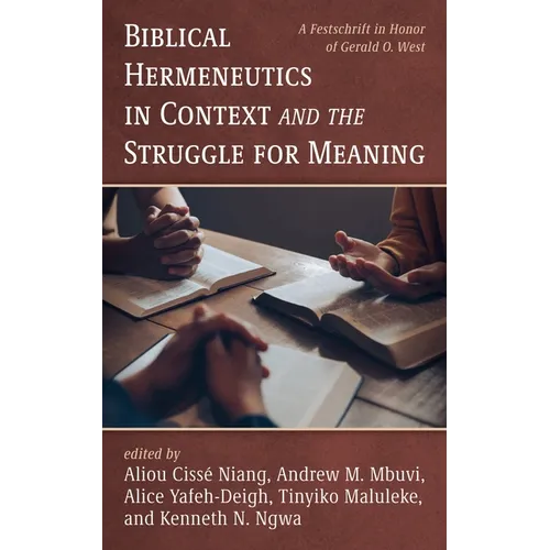 Biblical Hermeneutics in Context and the Struggle for Meaning - Paperback