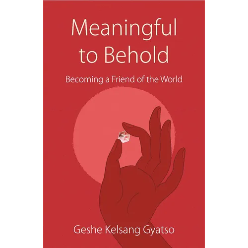 Meaningful to Behold: Becoming a Friend of the World - Paperback