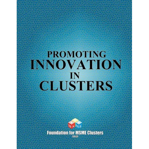 Promoting Innovation in Clusters - Paperback