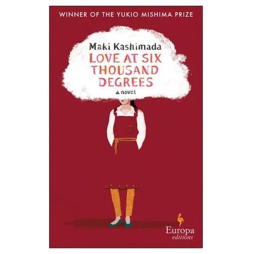 Love at Six Thousand Degrees - Paperback