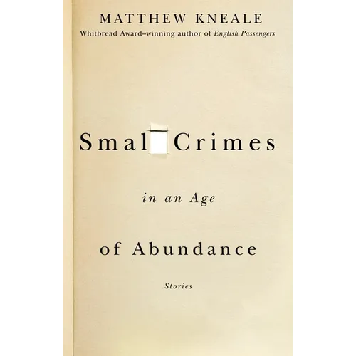 Small Crimes in an Age of Abundance - Paperback