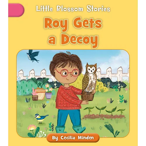 Roy Gets a Decoy - Paperback
