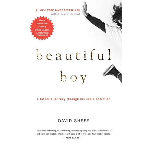 Beautiful Boy: A Father's Journey Through His Son's Addiction - Hardcover
