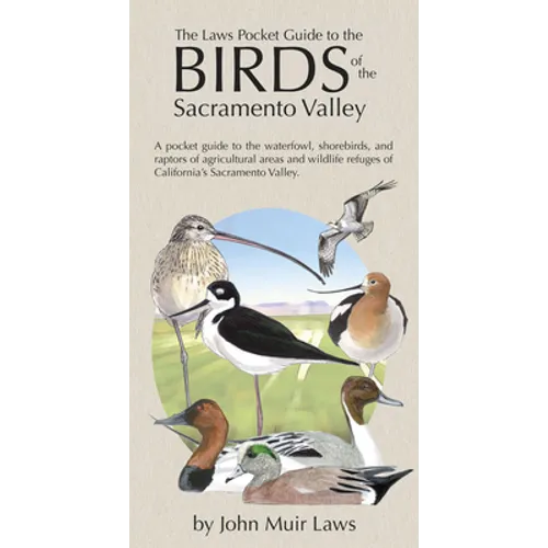 The Laws Pocket Guide to the Birds of the Sacramento Valley: Birds of the Sacramento Valley