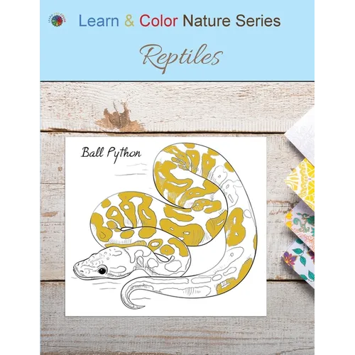 Reptiles - Paperback