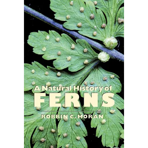 A Natural History of Ferns - Paperback