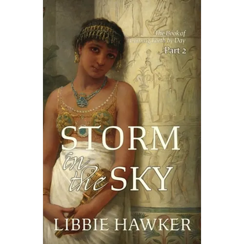 Storm in the Sky - Paperback