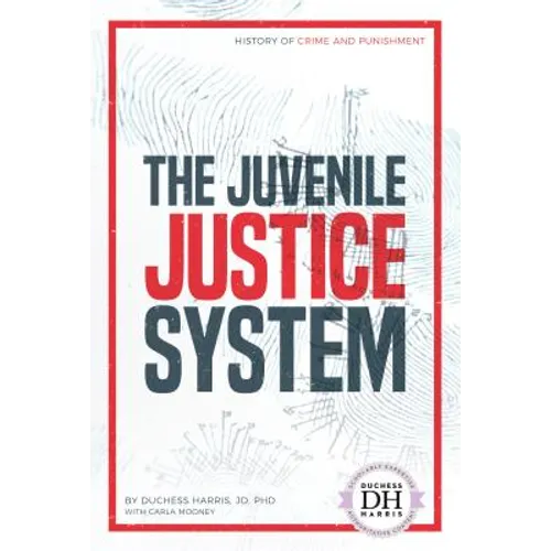 Juvenile Justice System - Library Binding