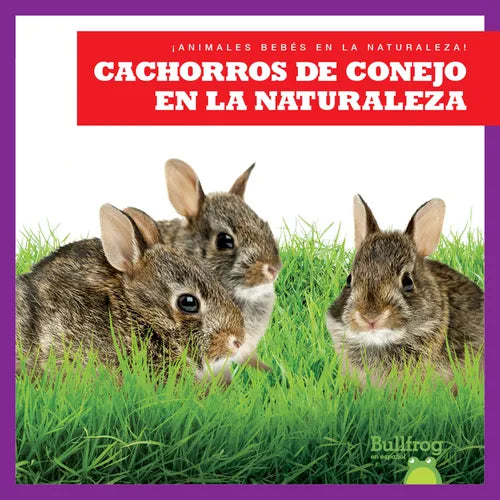 Cachorros de Conejo En La Naturaleza (Rabbit Kits in the Wild) - Library Binding