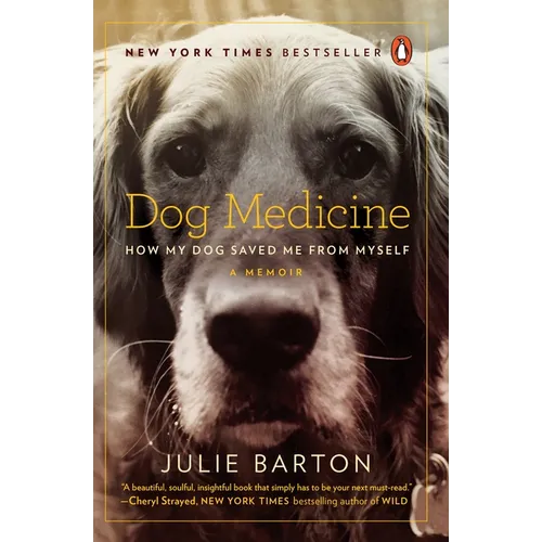 Dog Medicine: How My Dog Saved Me from Myself - Paperback