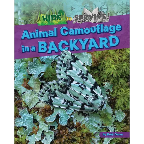 Animal Camouflage in a Backyard - Paperback