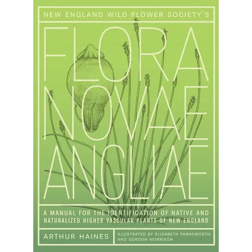 New England Wild Flower Society's Flora Novae Angliae: A Manual for the Identification of Native and Naturalized Higher Vascular Plants of New England - Hardcover
