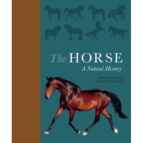 The Horse: A Natural History - Hardcover