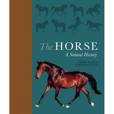 The Horse: A Natural History - Hardcover