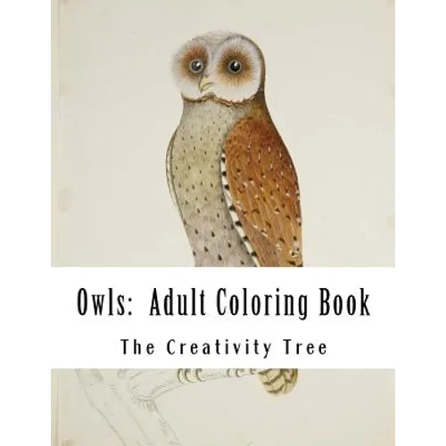 Owls: Adult Coloring Book - Paperback