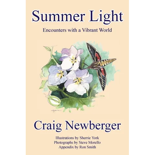 Summer Light: Encounters with a Vibrant World - Paperback