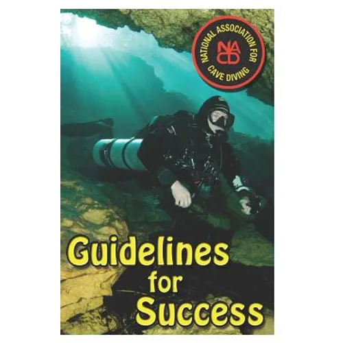 Guidelines for Success - Paperback