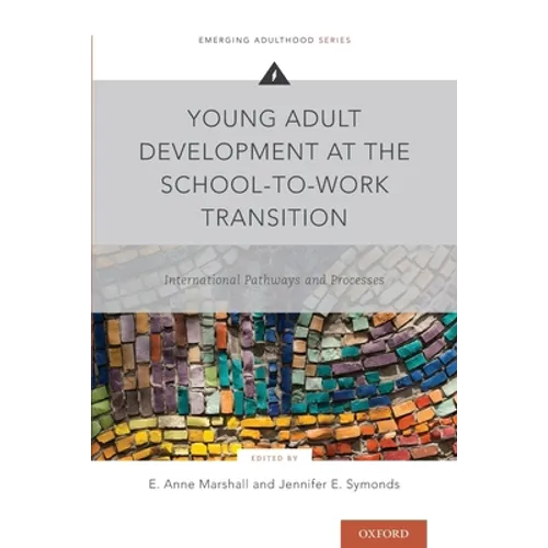 Young Adult Development at the School-To-Work Transition: International Pathways and Processes - Paperback