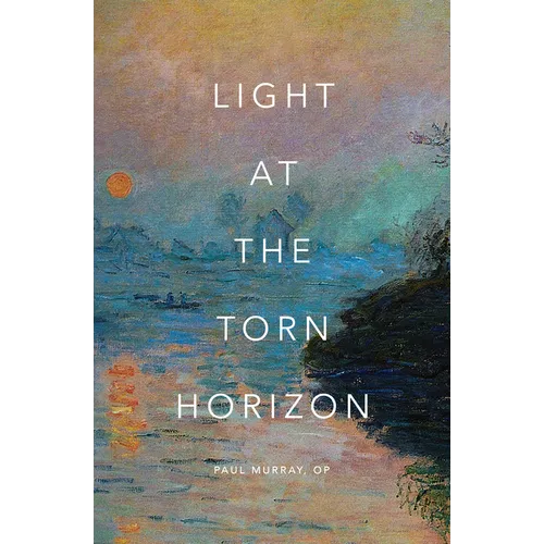 Light at the Torn Horizon - Paperback