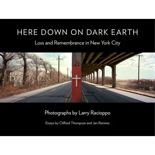Here Down on Dark Earth: Loss and Remembrance in New York City - Hardcover