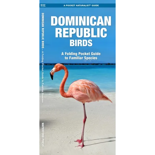 Dominican Republic Birds: A Folding Pocket Guide to Familiar Species