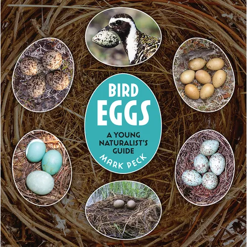 Bird Eggs: A Young Naturalist's Guide - Hardcover